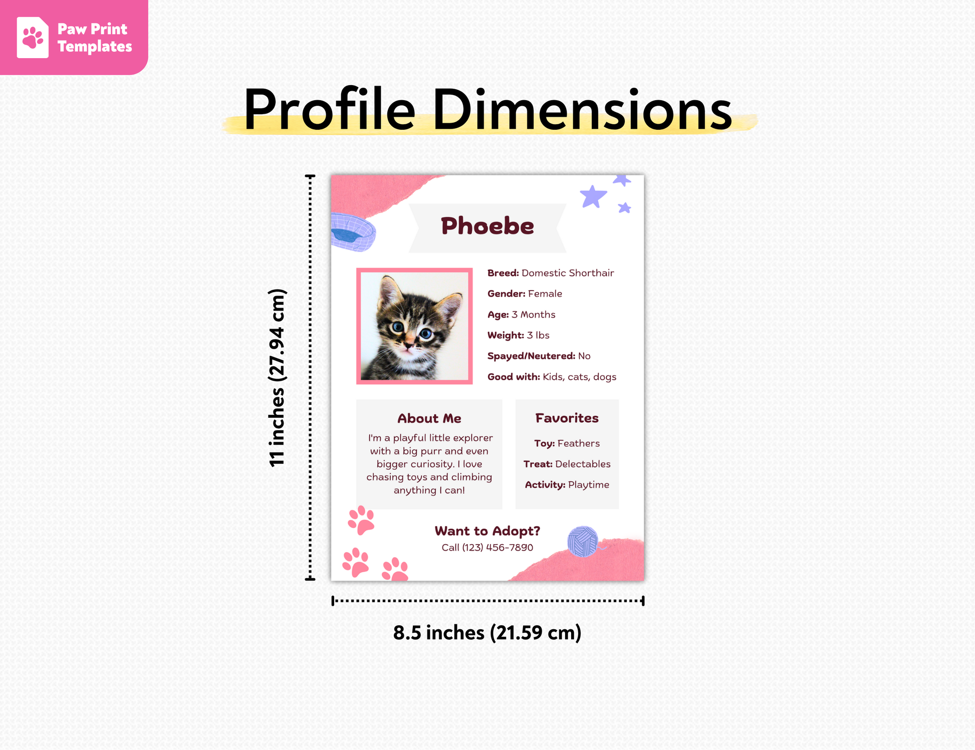 Pet profile flyer filled out for a cat named Phoebe on a white background.