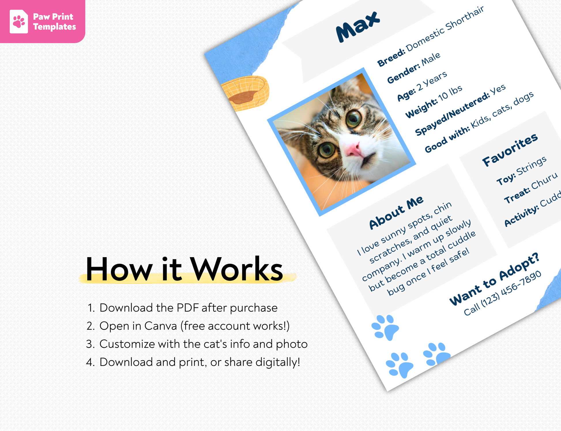 Pet adoption flyer template with a cat photo and text on a white background.